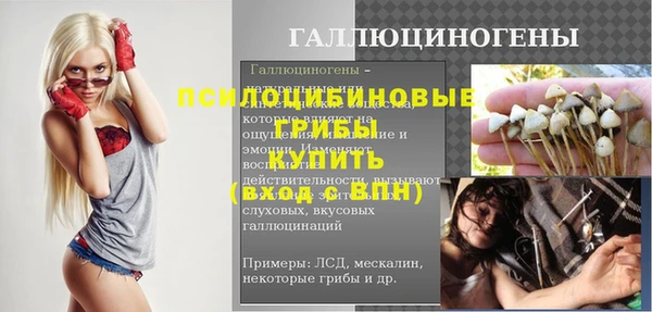 соль ск Белокуриха