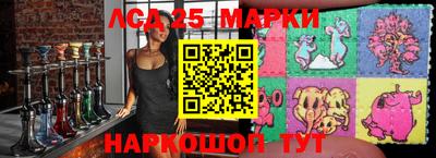 стафф Заводоуковск