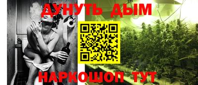 стафф Заводоуковск
