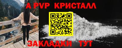 стафф Заводоуковск