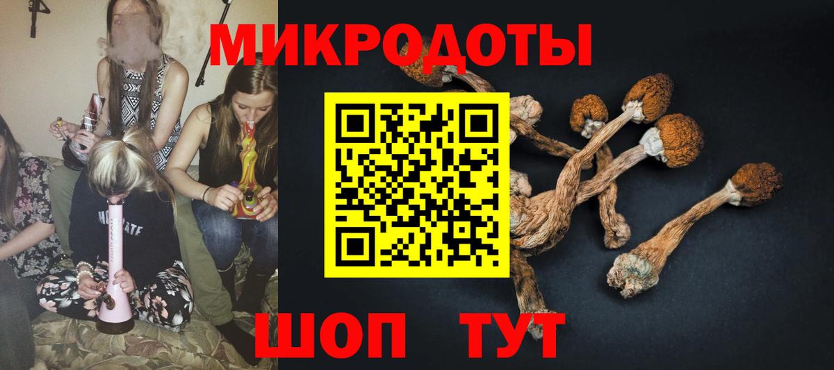Псилоцибиновые грибы мухоморы  Псилоцибиновые грибы Cubensis  Вход с VPN  где продают   Надым 